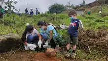 Inició la recuperación ambiental del Predio La Olga