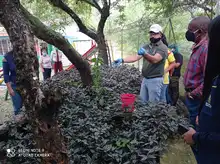 Hogar de Paso para animales silvestres, Calidad de vida, cuidado y protección