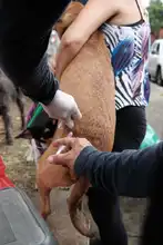 En ‘Salud al Barrio’ el turno fue para El Municipal