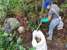 Jornada de recuperación ecológica en el cerro de la bandera  