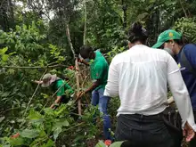 Jornada de recuperación ecológica en el cerro de la bandera  