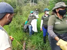 Jornada de recuperación ecológica en el cerro de la bandera  