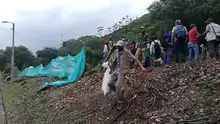 Jornada de recuperación ecológica en el cerro de la bandera  