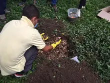 La Agricultura Urbana una acción de amor por Cali