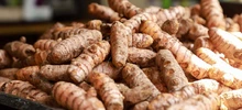 Este domingo, pequeños cultivos brindan seguridad alimentaria a la amada Cali