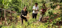 Este domingo, pequeños cultivos brindan seguridad alimentaria a la amada Cali