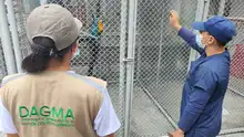 Dagma rescata guacamaya en conjunto residencial al sur de Cali