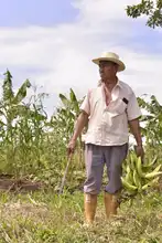 Alimentos orgánicos, la apuesta de los agricultores de ‘La Gloria’ en el mercado campesino 