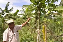 Alimentos orgánicos, la apuesta de los agricultores de ‘La Gloria’ en el mercado campesino 