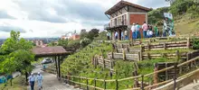Día Mundial del Medio Ambiente: ¡Reconciliémonos con la naturaleza! 
