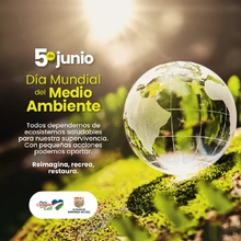 Día Mundial del Medio Ambiente: ¡Reconciliémonos con la naturaleza! 