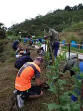 Día Mundial del Medio Ambiente: ¡Reconciliémonos con la naturaleza! 