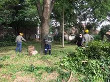 Día Mundial del Medio Ambiente: ¡Reconciliémonos con la naturaleza! 