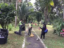 Día Mundial del Medio Ambiente: ¡Reconciliémonos con la naturaleza! 