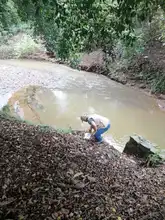 Con jornada de recuperación del río Lili se conmemora el Día del Medio Ambiente