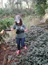 Con jornada de recuperación del río Lili se conmemora el Día del Medio Ambiente