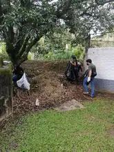 Con jornada de recuperación del río Lili se conmemora el Día del Medio Ambiente