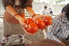 Con los mercados campesinos se rescatan la cultura rural y la economía de los caleños