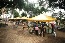 Con los mercados campesinos se rescatan la cultura rural y la economía de los caleños