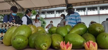 Mercado Campesino: Encuentro de la ruralidad y la ciudad, una historia que debemos repetir