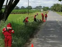 Infraestructura realizó adecuación de vías y recolección de escombros en zona urbana y rural