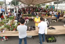 Balance del Gran Mercado Campesino evidencian la importante acogida que tuvo el evento
