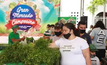Balance del Gran Mercado Campesino evidencian la importante acogida que tuvo el evento
