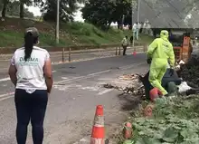 Continúan las intervenciones para la recuperación ambiental y paisajística de Cali