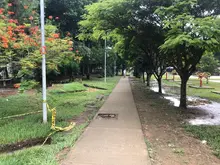 Bosques urbanos para la vida,  construcción verde inclusiva en el Refugio.