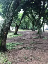 Bosques urbanos para la vida,  construcción verde inclusiva en el Refugio.