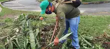 Parque Jovita se embellece con acciones de restauración ambiental