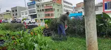 Parque Jovita se embellece con acciones de restauración ambiental