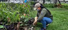 Parque Jovita se embellece con acciones de restauración ambiental
