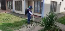 Disminuyen en un 70% los casos de dengue en Cali