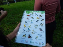 Con una ‘pajareada’ nos sumamos a la protección de la biodiversidad caleña
