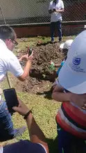 Agrocultura, residuos orgánicos que generan condiciones adecuadas en el suelo de las huertas
