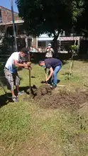 Agrocultura, residuos orgánicos que generan condiciones adecuadas en el suelo de las huertas