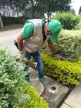 Continúa control y manejo del caracol africano en comunas de Cali