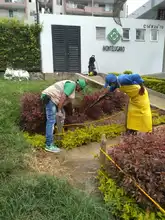 Continúa control y manejo del caracol africano en comunas de Cali