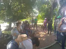 Continúa control y manejo del caracol africano en comunas de Cali