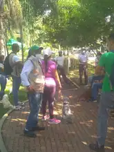 Continúa control y manejo del caracol africano en comunas de Cali