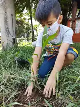 Caleños se toman las calles para llenar de esperanza a la ‘Sultana del Valle’