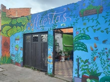 Huerta comunitaria del barrio Primitivo Crespo: Una apuesta por la seguridad alimentaria de niños y ancianos