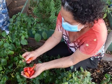 Huertas para la vida, un proyecto más allá de la soberanía alimentaria