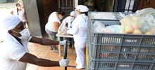 Imagen para boletín