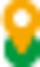 Asset 9