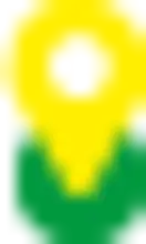 Asset 10