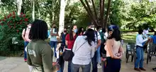 Cali, ciudad de las mariposas