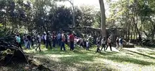 Cali, ciudad de las mariposas