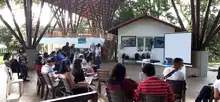 Cali, ciudad de las mariposas